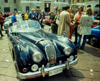 JAGUAR