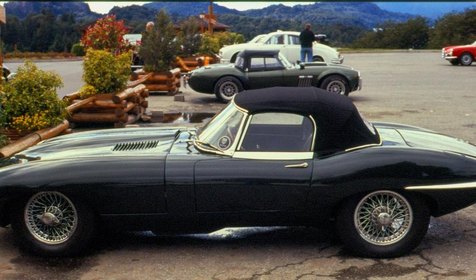 JAGUAR