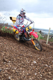 David Thorpe